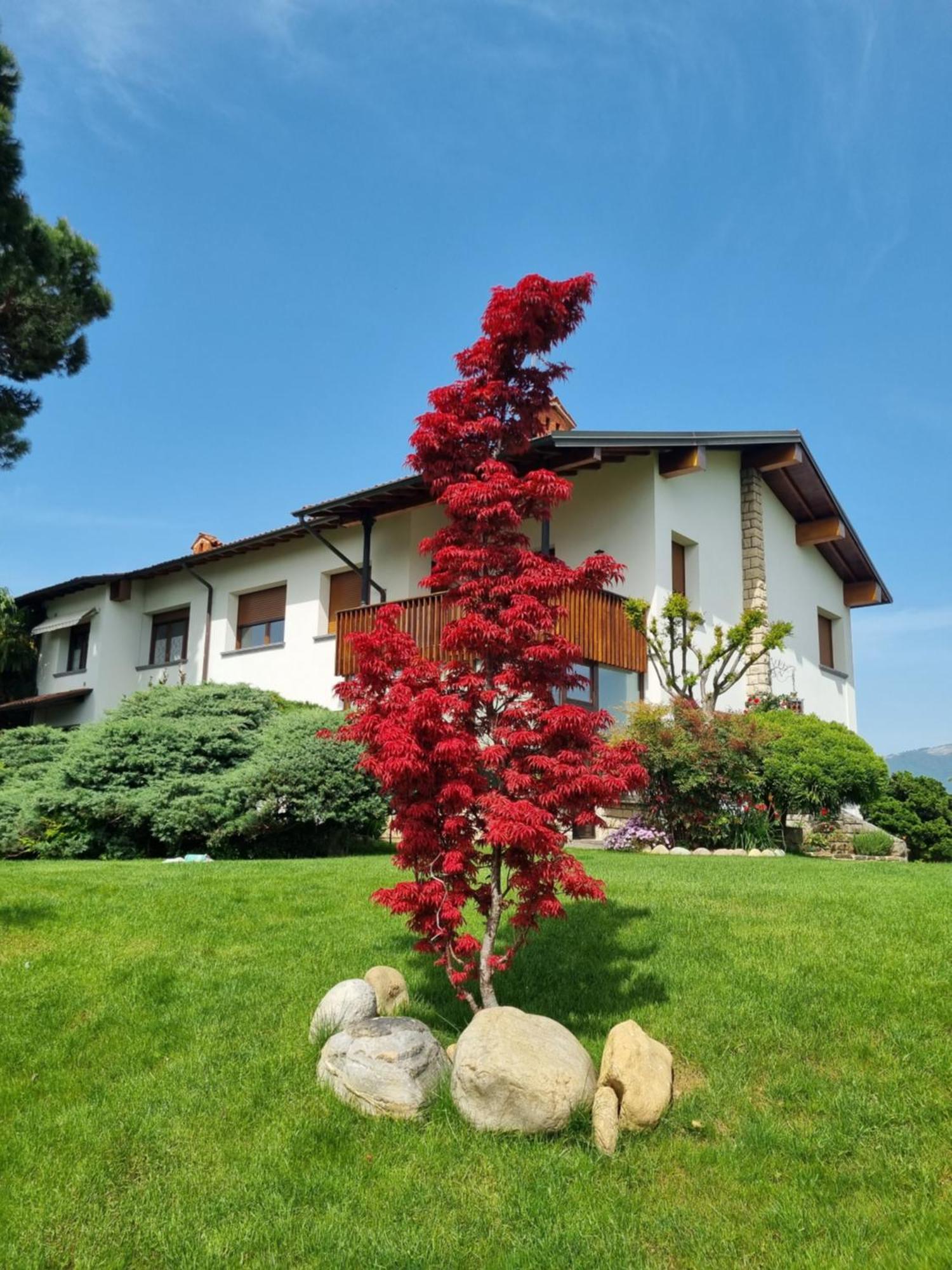 B&B Fontanella Curno Exterior foto